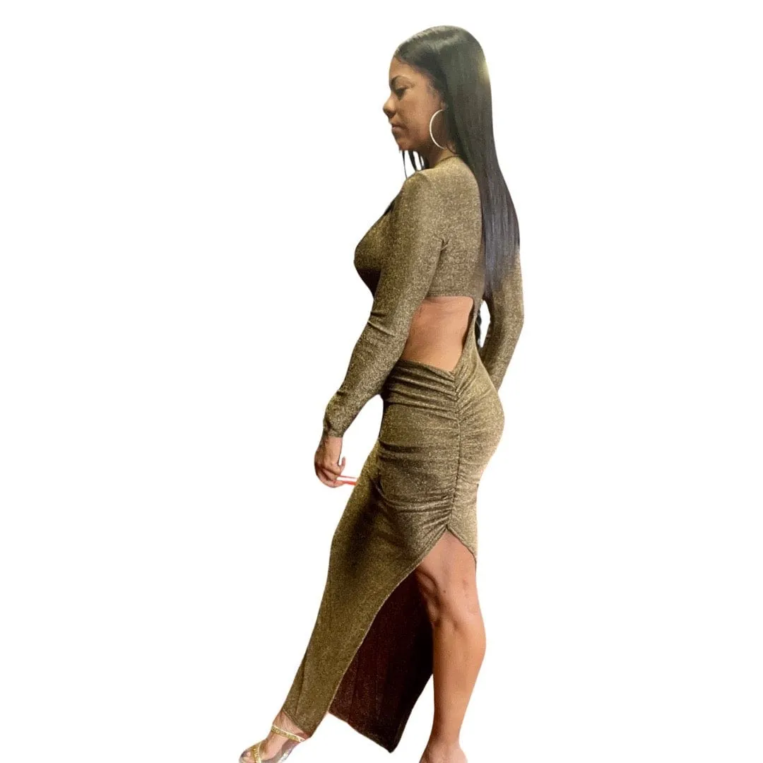 Alpha C Apparel Women Long Elegant Dress