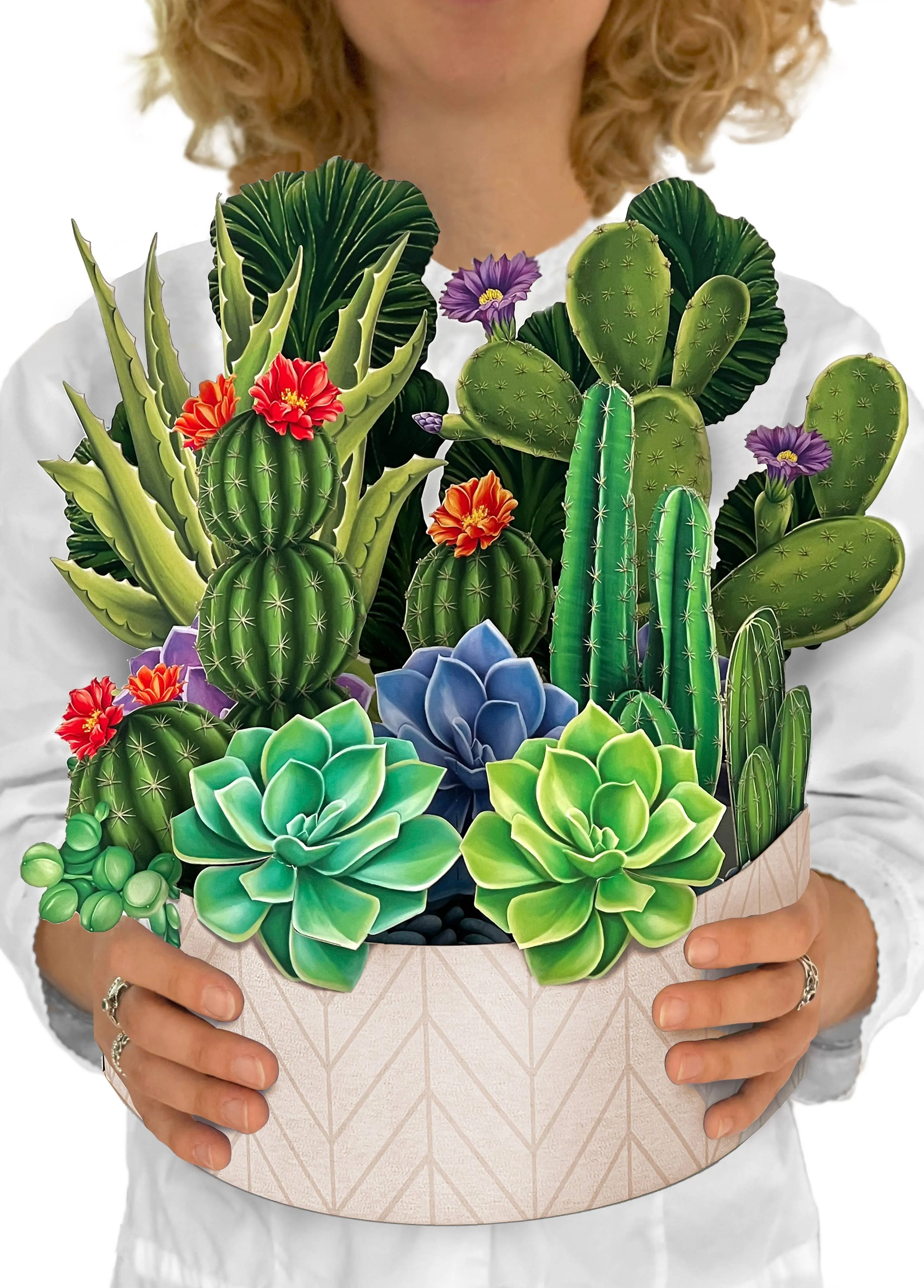 CACTUS GARDEN (8 POP-UP GREETING CARDS)