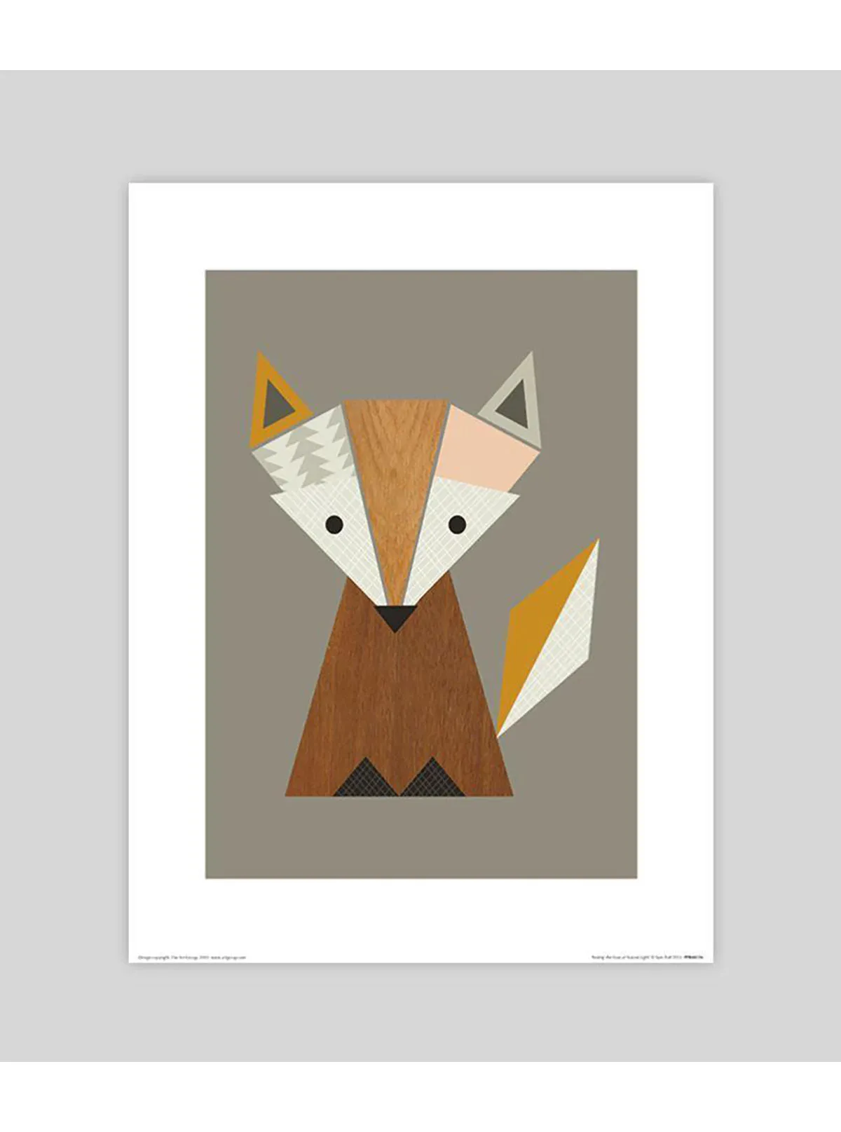 Geometric Fox