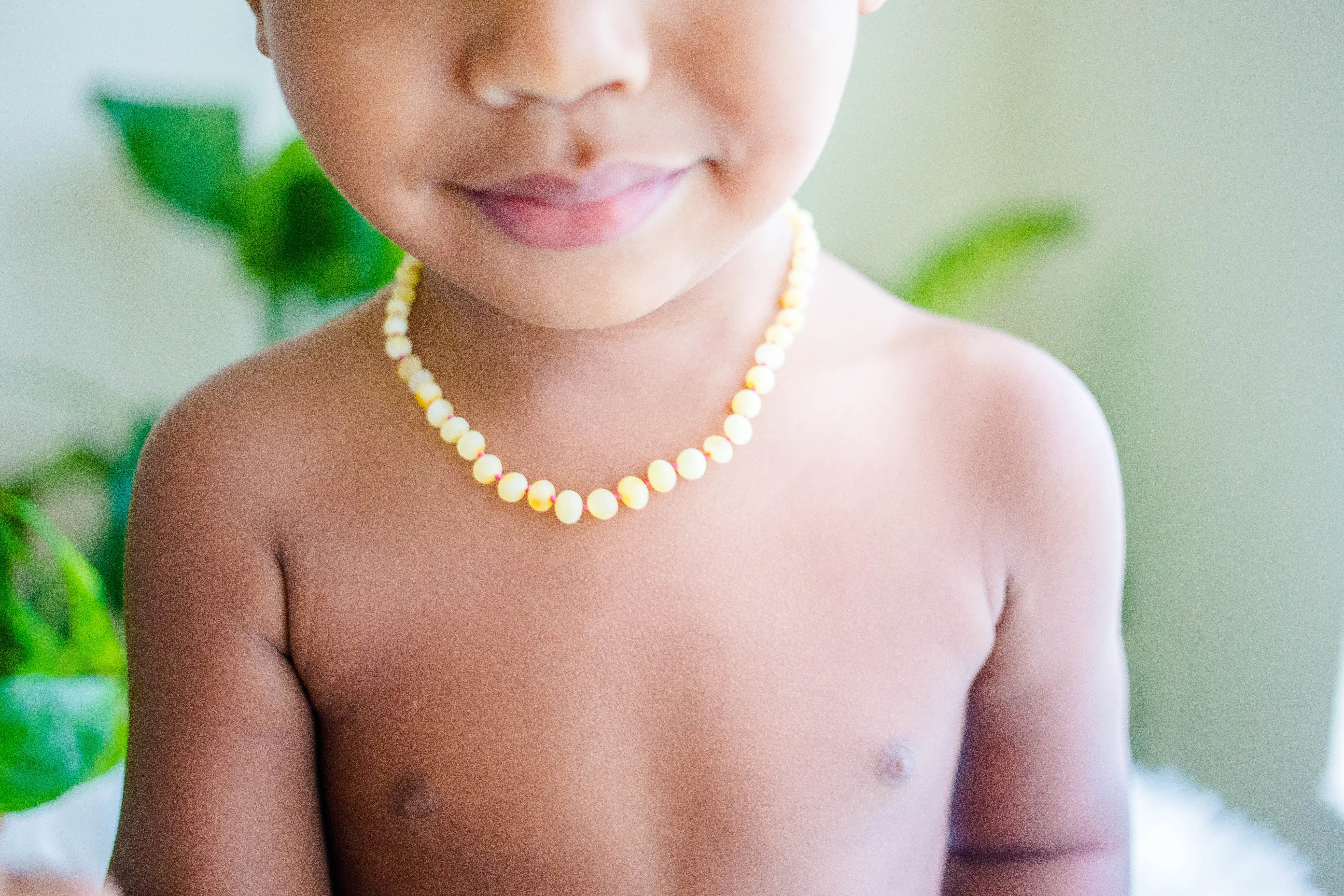 Raw Buttermilk Baltic Amber Necklace POP   Screw Clasp