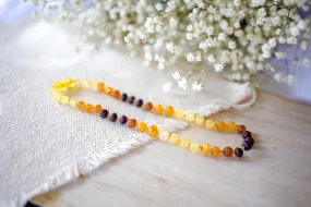 Raw Tri-Fade , Lemon, Honey, Apricot, and Cherry Baltic Amber Necklace